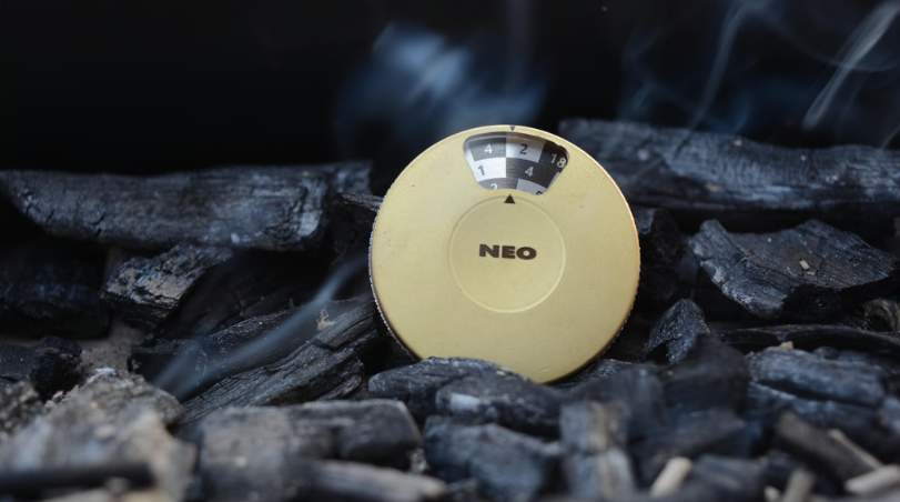 NEO SPIN - A minimalist, multi-functional, gaming gadget.