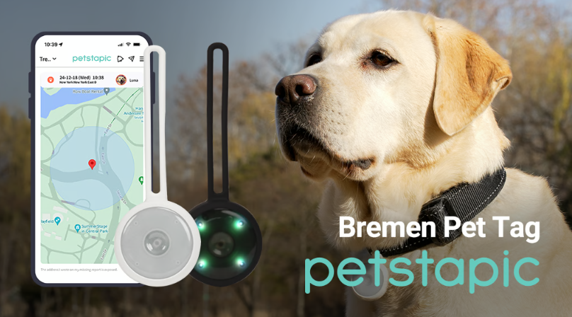 FREE All-In-One Tag & Application for Safer, Happier Pets
