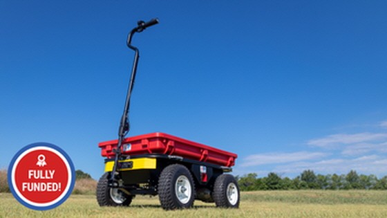 Buffalo Carts: Electric Powered Convenience ?⚡️