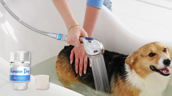 Stress-free bath time for dogs with their favorite scent!