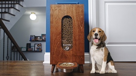 Houndsy Kibble Dispenser