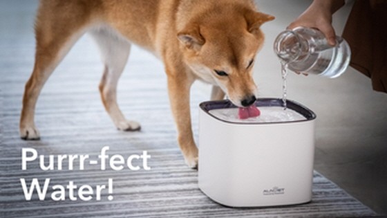 ALNPET+ | Make Your Pets Fall In Love With Drinking Water