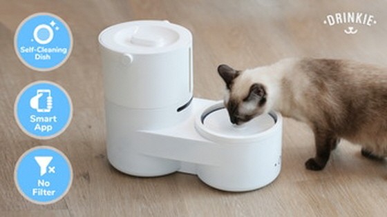 Drinkie: Your pet’s favorite self-cleaning water dispenser