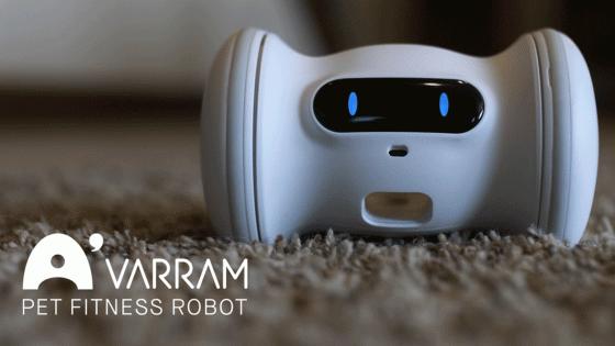 A Smart Robot For Your Pet - VARRAM