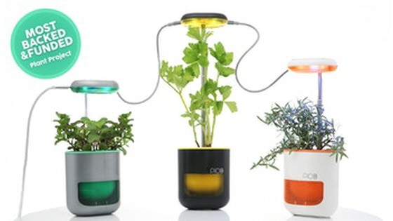 PICO: A garden in your palm. Growing is fun again!