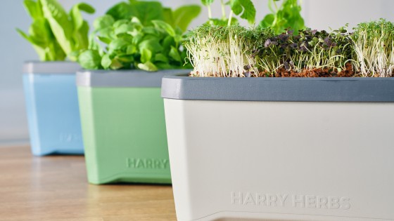 HARRY HERBS - watch your delicious greens grow themselves