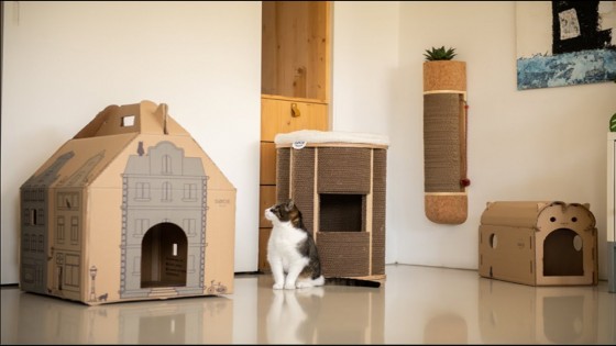 SØDE Design - Modern & Multifunctional Furniture For Cats