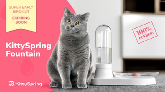 KittySpring - The most cat-friendly water fountain on Earth