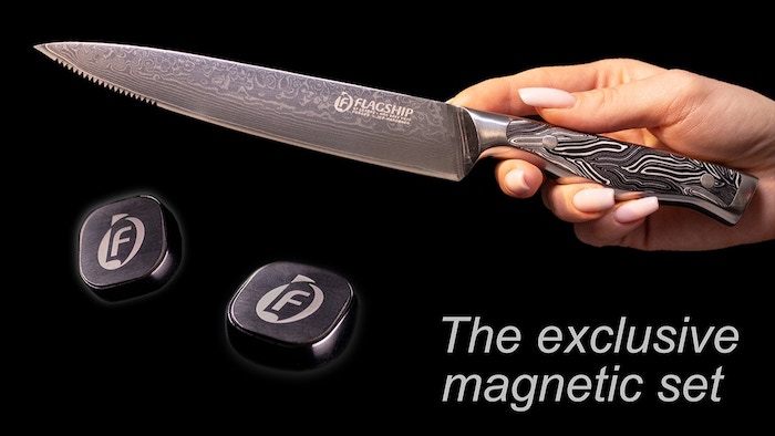 Flagship Exclusive Knife & Futuristic Wall Magnets Set