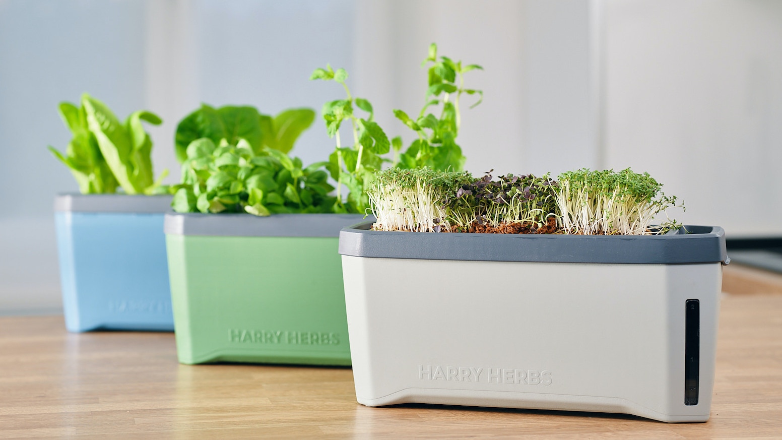 HARRY HERBS - watch your delicious greens grow themselves