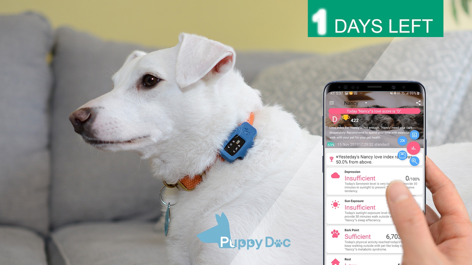 PuppyDoc | Dog Activity & Sun Exposure Tracker